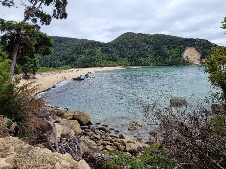 Abel Tasman NP - Bark Bay