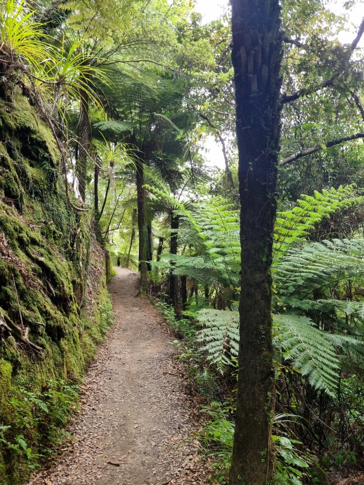 Abel Tasman NP Track
