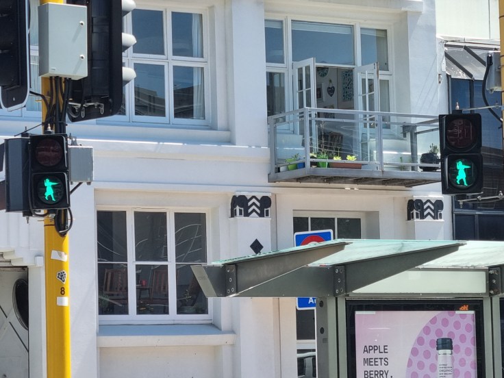 Wellington Ampelfrauchen Haka