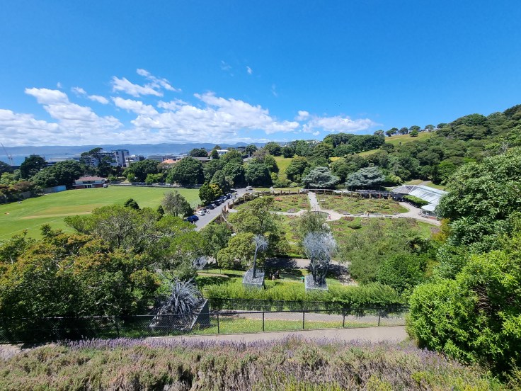 Wellington Botanic Garden Rose Garden