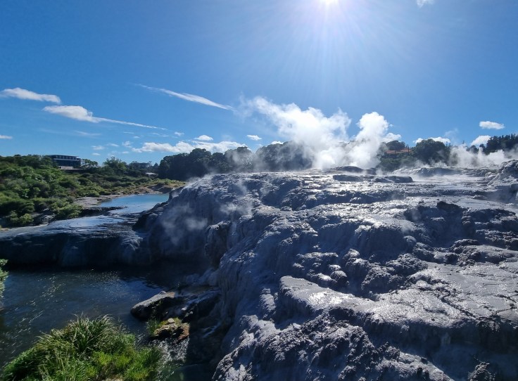 Te Puia Whakarewarewa Pohutu
