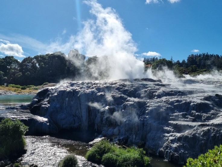 Te Puia Whakarewarewa Pohutu