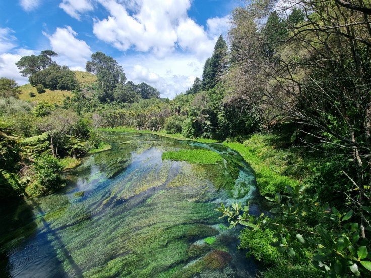 Blue Spring Putaruru