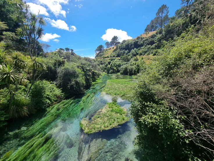 Blue Spring Putaruru