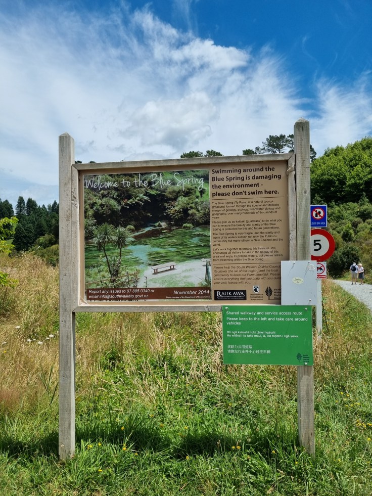 Blue Spring Putaruru