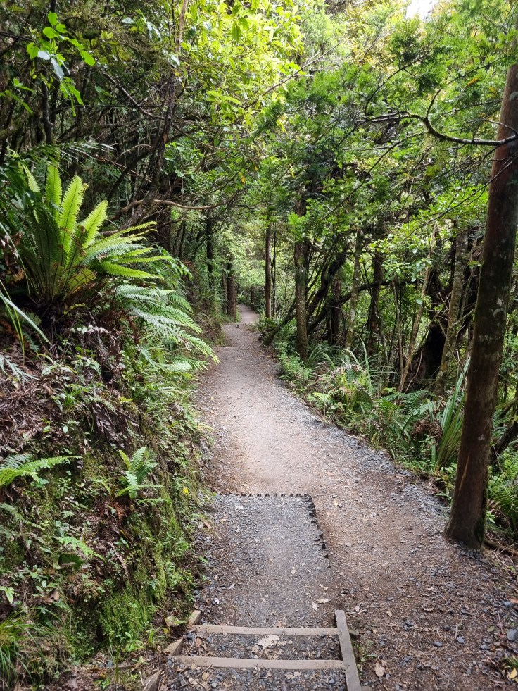 Tongariro Alpine Crossing - Abstieg