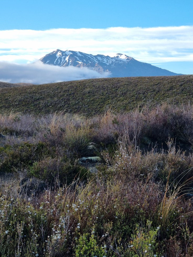 Tongariro NP - Mt. Ruapehu