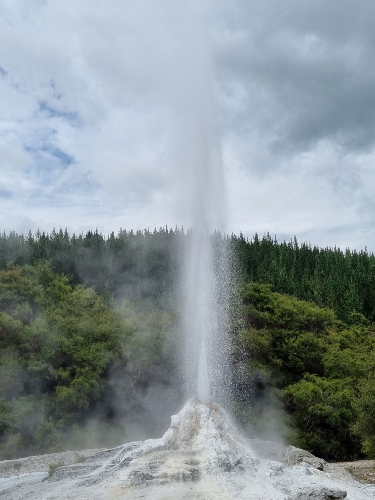 Waiotapu - Lady Knox Geysir