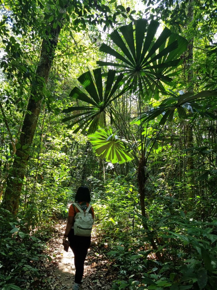 Thailand Khao Luang NP Krung Ching Wasserfall