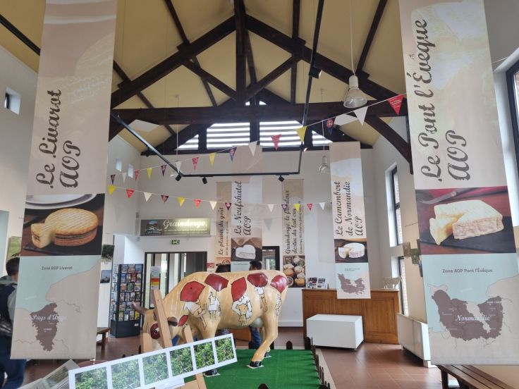 Vier normannische Käsesorten auf einen Blick