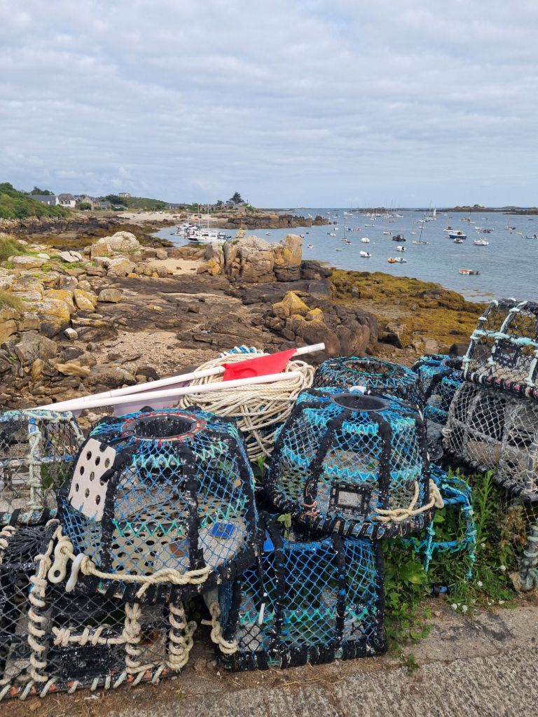Îles Chausey - Fisch und Meeresfrüchte