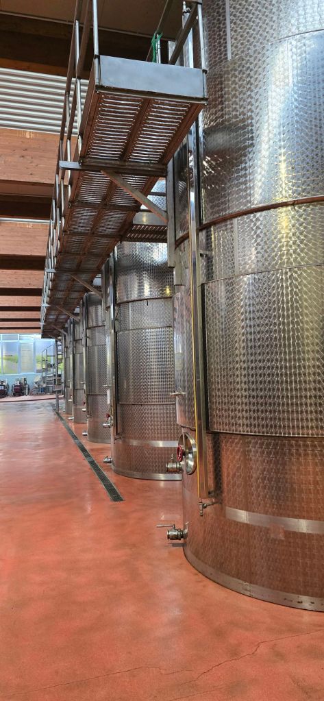 Giacobazzi Vini: Weinproduktion