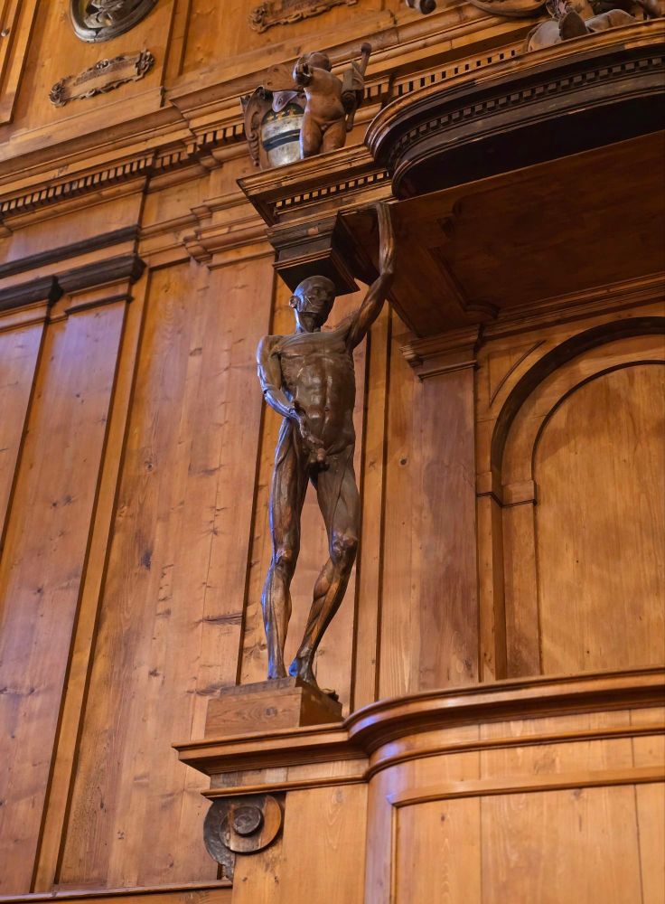 Bologna: Teatro Anatomico, Spellati