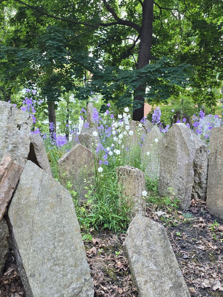 Prag: Alter Jüdischer Friedhof in der Josefov
