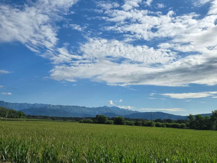 Friuli: Berge und Mais