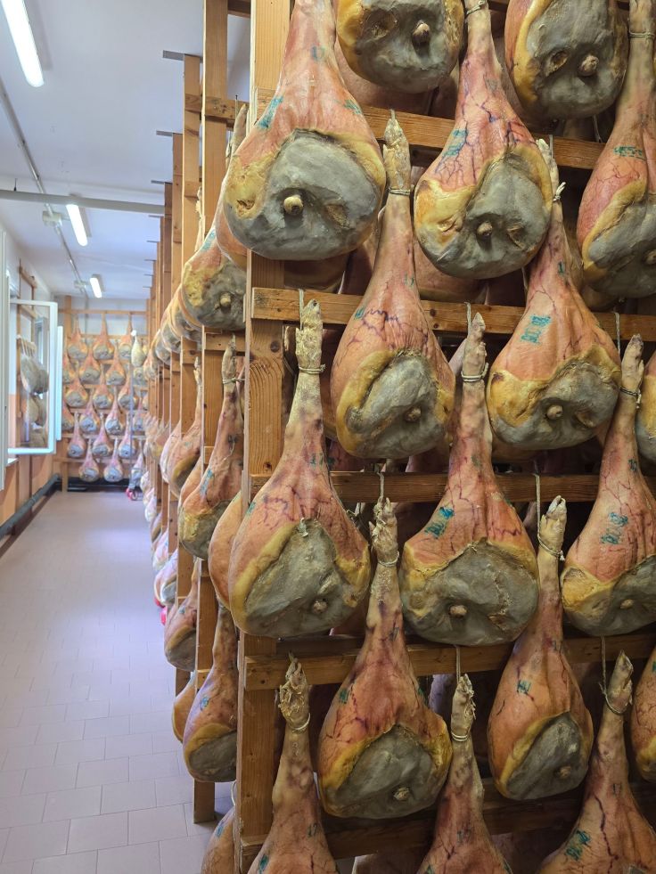 Prosciutto San Daniele - Bagatto