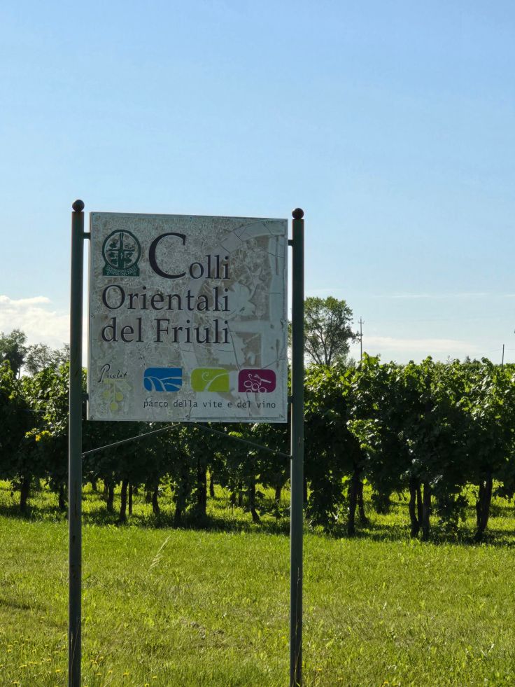 Weinbaugebiet Colli Orientali del Friuli