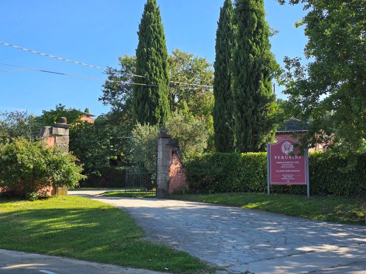 Weingut Perusini