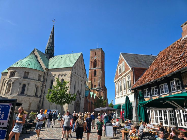Ribe