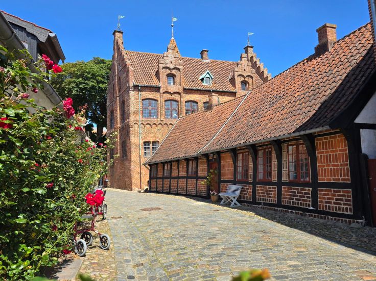 Ribe