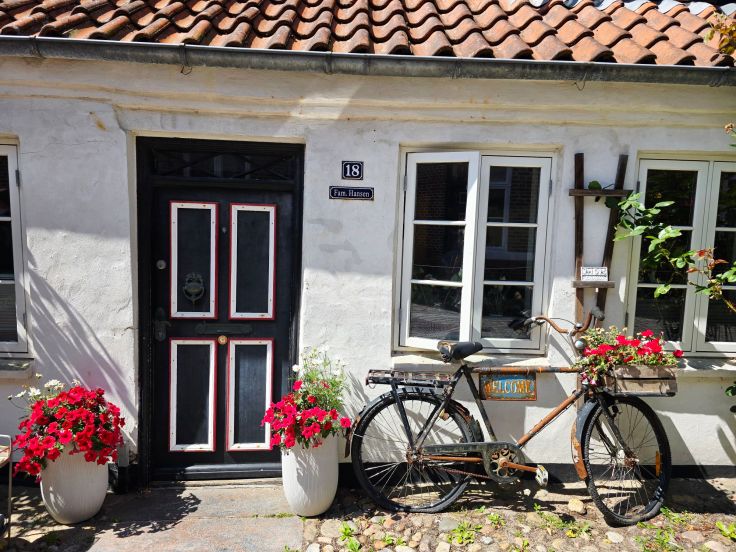 Ribe