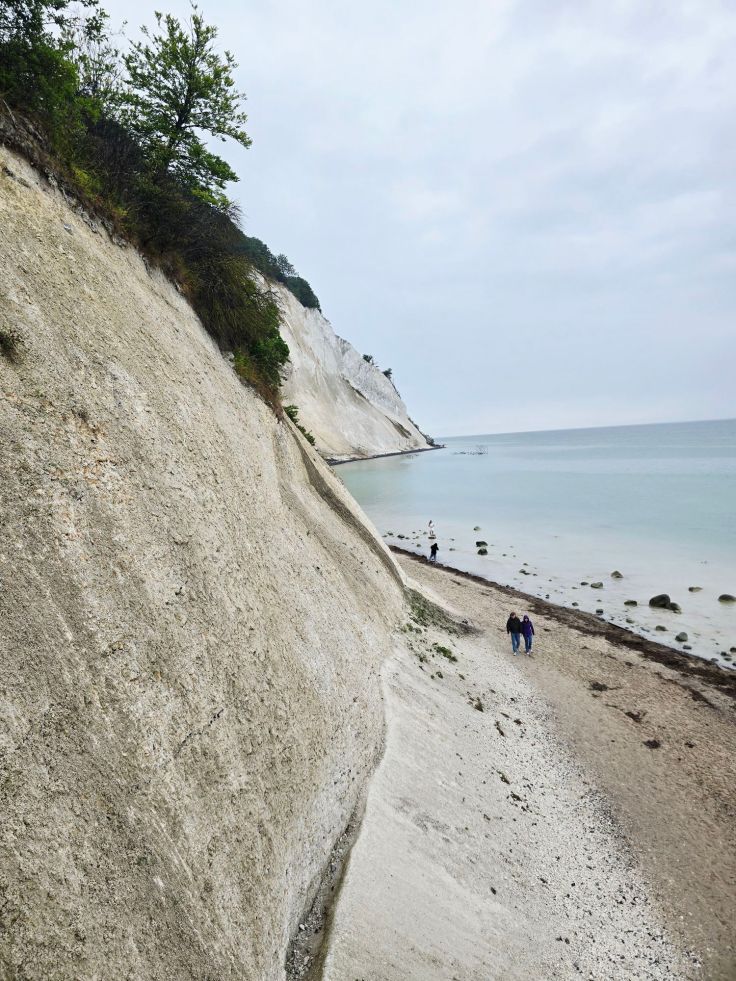 Kreidefelsen Møns Klint