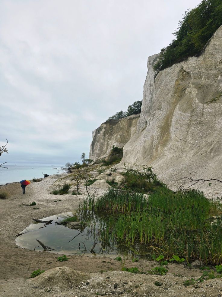 Kreidefelsen Møns Klint
