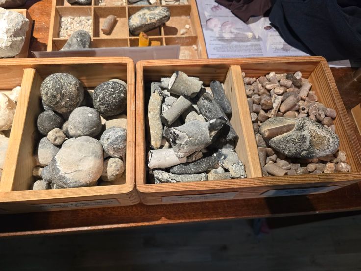 GeoCenter Møns Klint