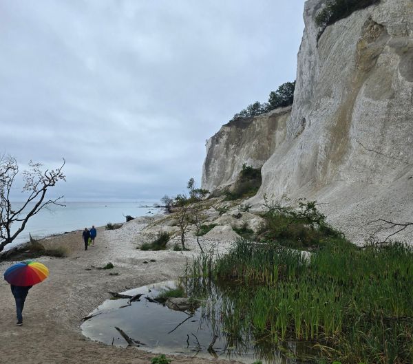 Möns Klint