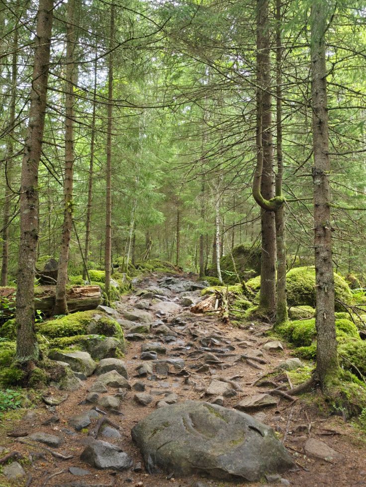 Nora Kvills Nationalpark