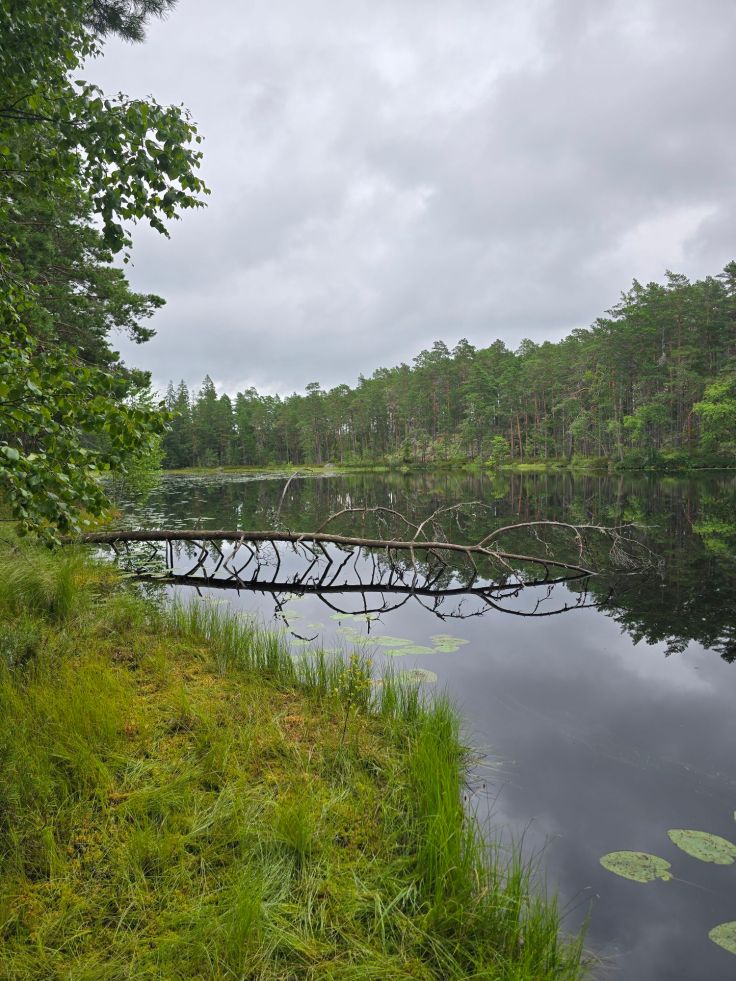 Nora Kvills Nationalpark