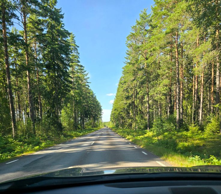 Smålands Straßen