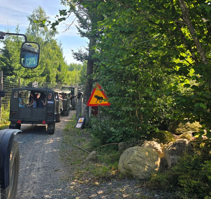 Elchpark Glasrikets Älgpark