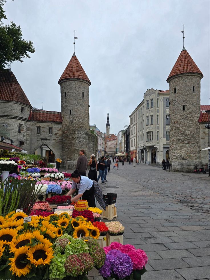 Tallinn: Lehmpforte