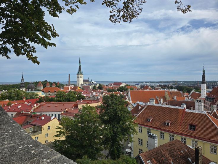 Aussicht vom Domberg: Kohtuotsa