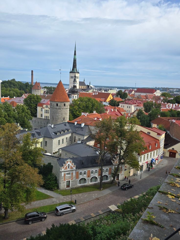 Aussicht vom Domberg: Patkuli